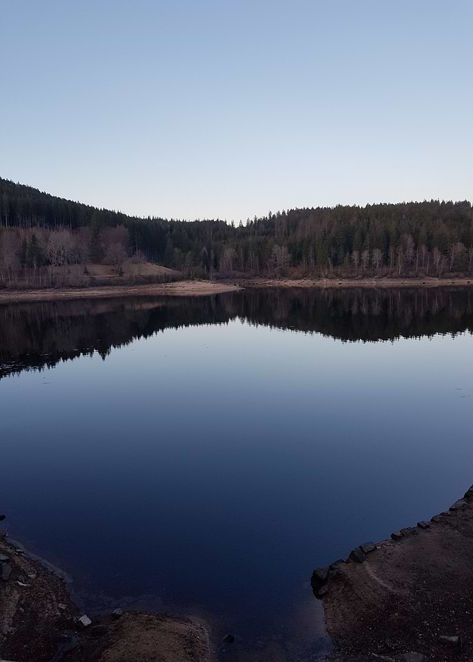 Lake reflection