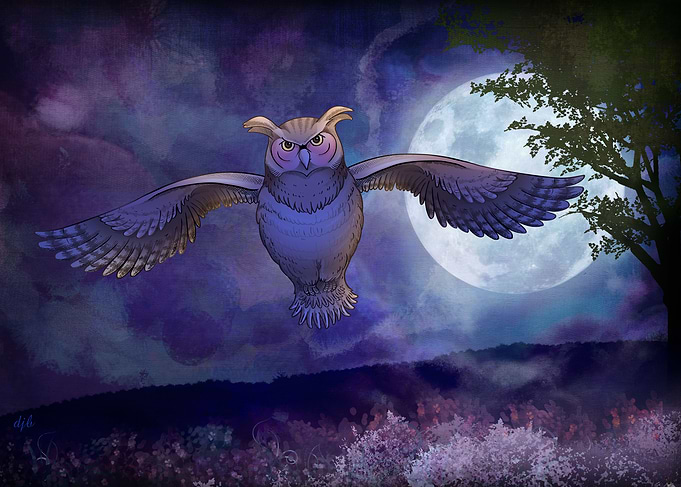 Midnight Owl