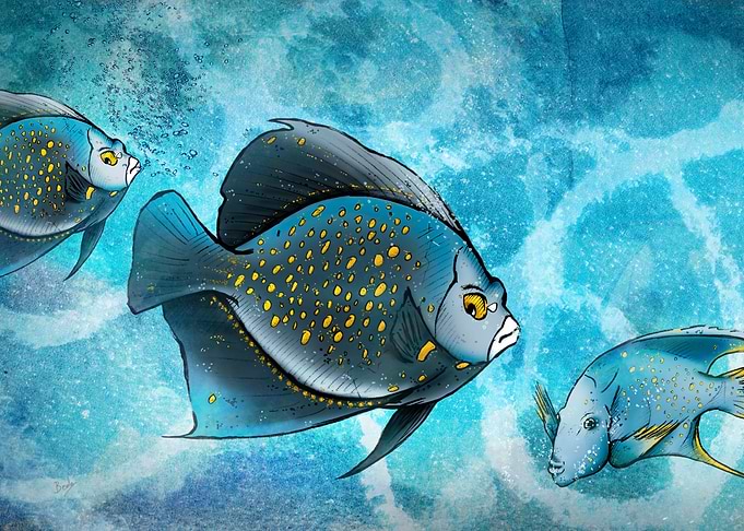 Blue Fish Fantasy