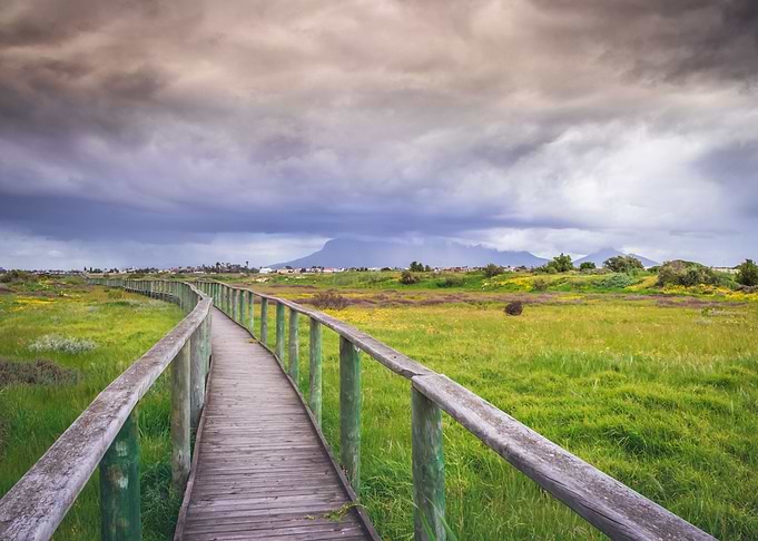 Wooden boardwalk