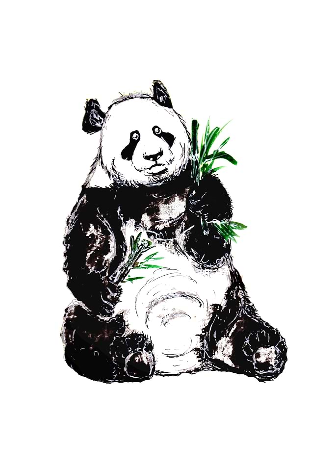 Big Panda with Bamboo