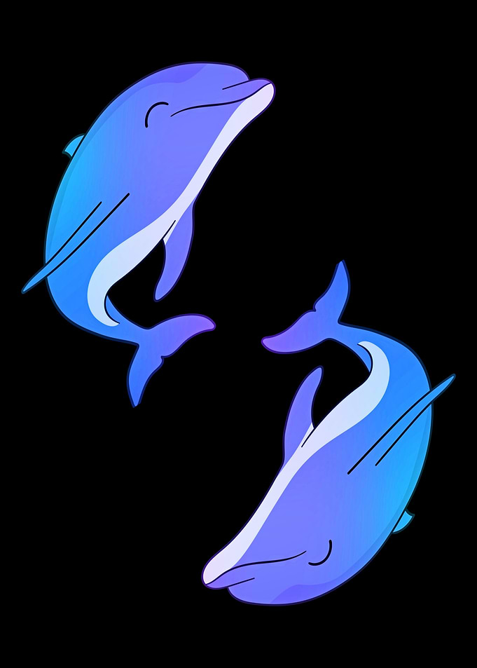 Beautiful dolphin animal