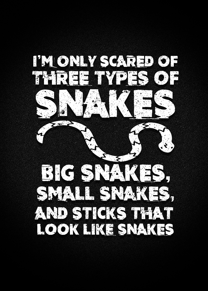 Ophiology Pet Snakes Stick