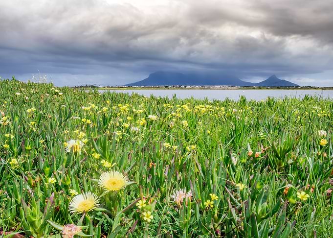 Overcast Table Mountain