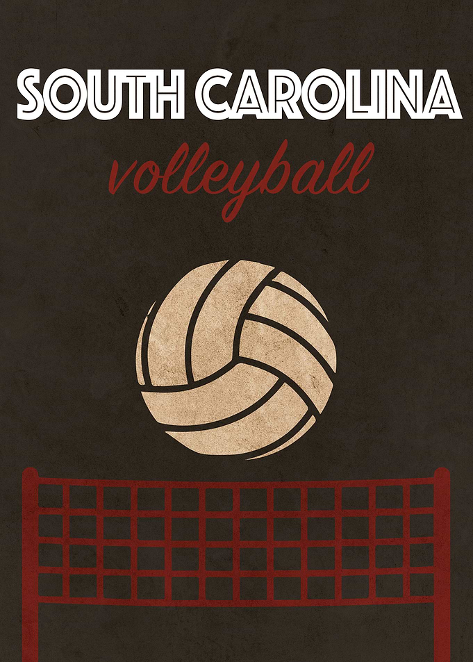 South Carolina Volleyball