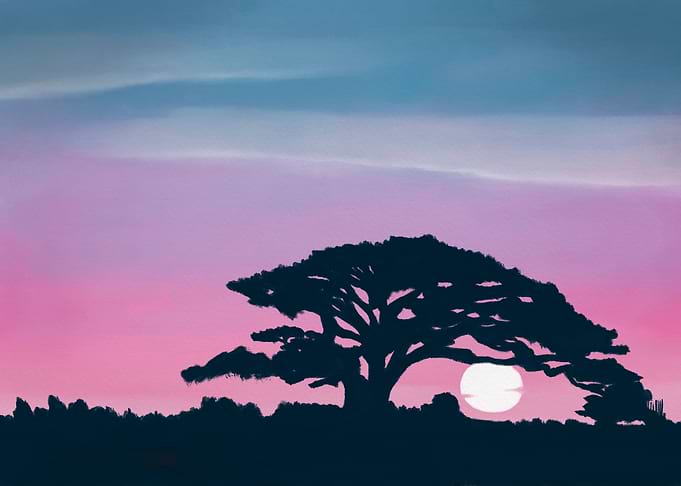 Sunrise