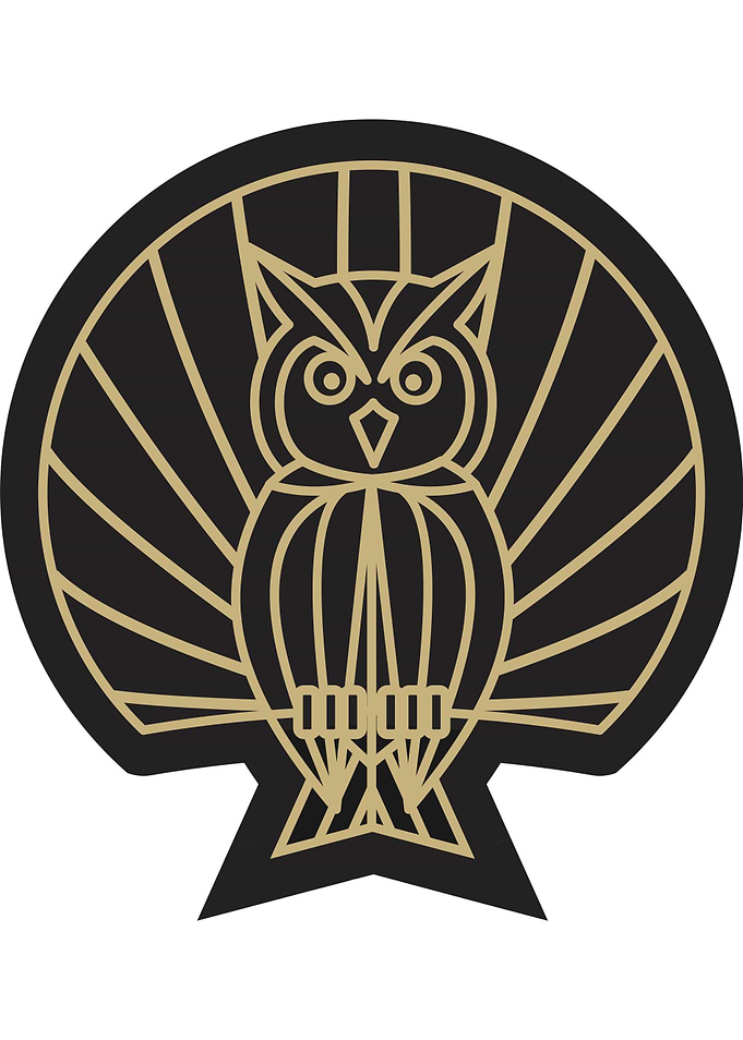Geometric Owl