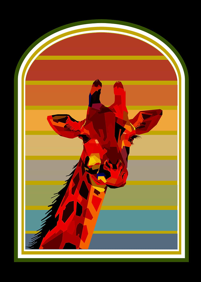 Giraffe Giraffes Africa