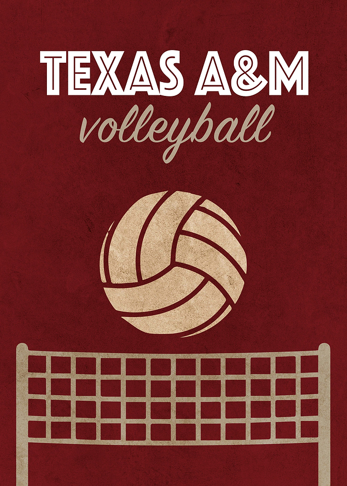 Texas AM Volleyball Team