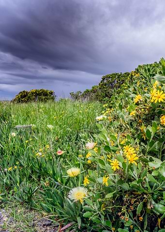 Overcast Table Mountain