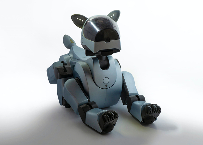 Dog in Space