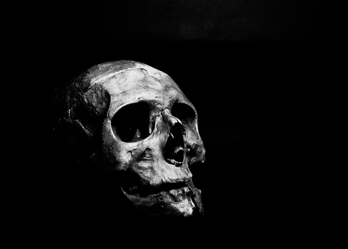 Imagine a skull
