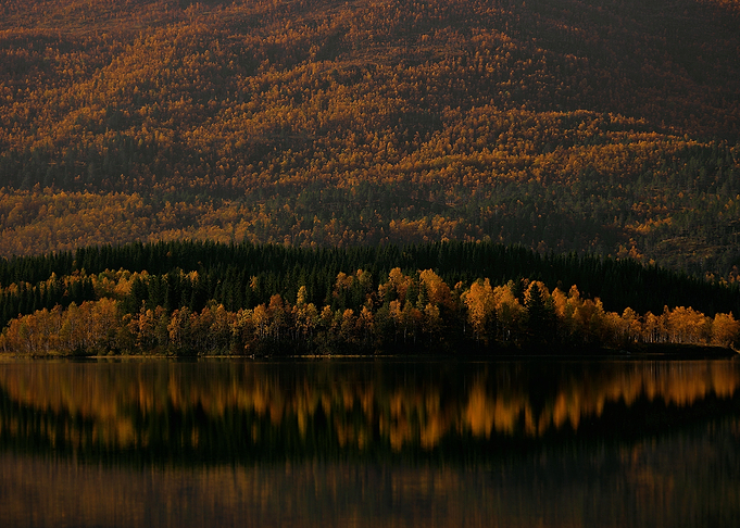 Lake autumn