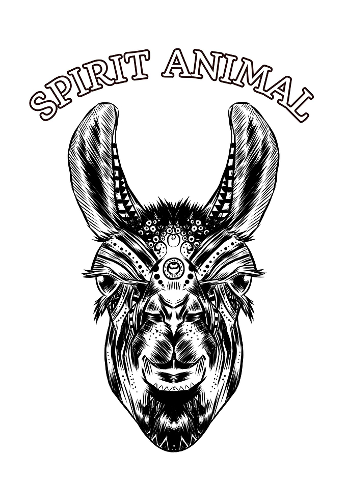 Mandala Llama