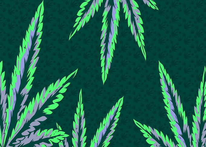 CANNABIS LEAF ILLUSTRATION