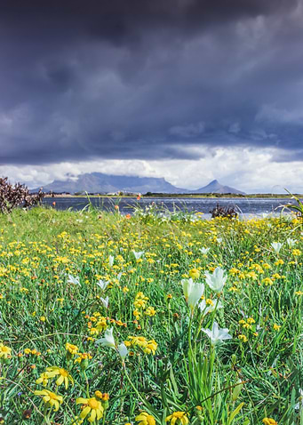 Overcast Table Mountain