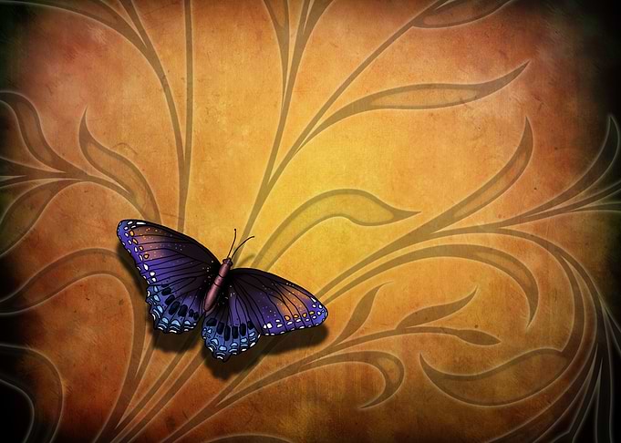 Butterfly Pause 2