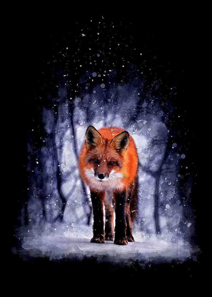 Fox