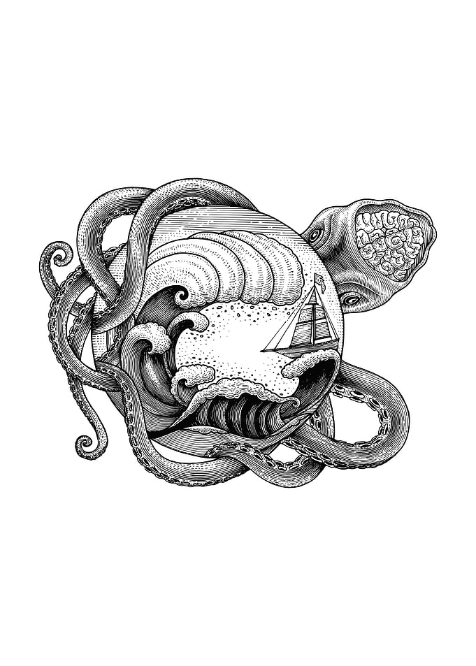Octopus