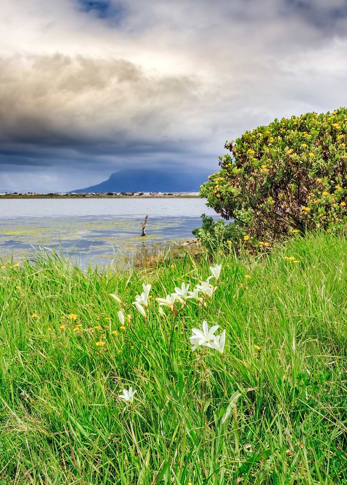 Overcast Table Mountain
