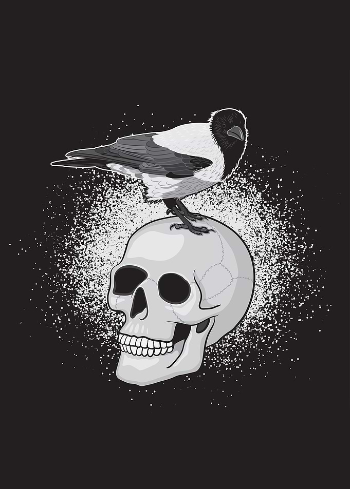 Raven