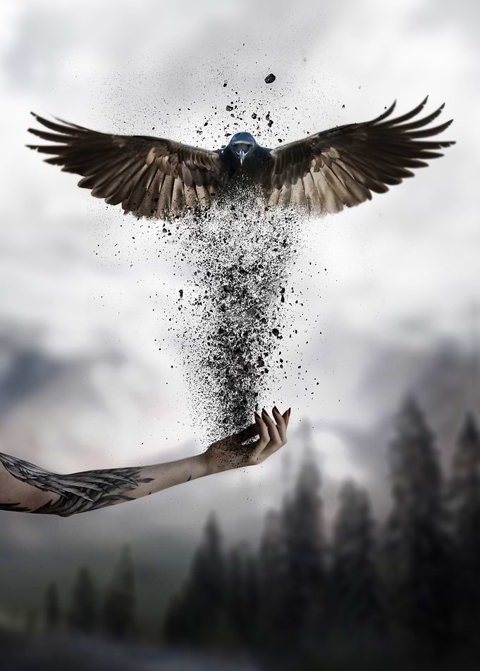 Rebirth