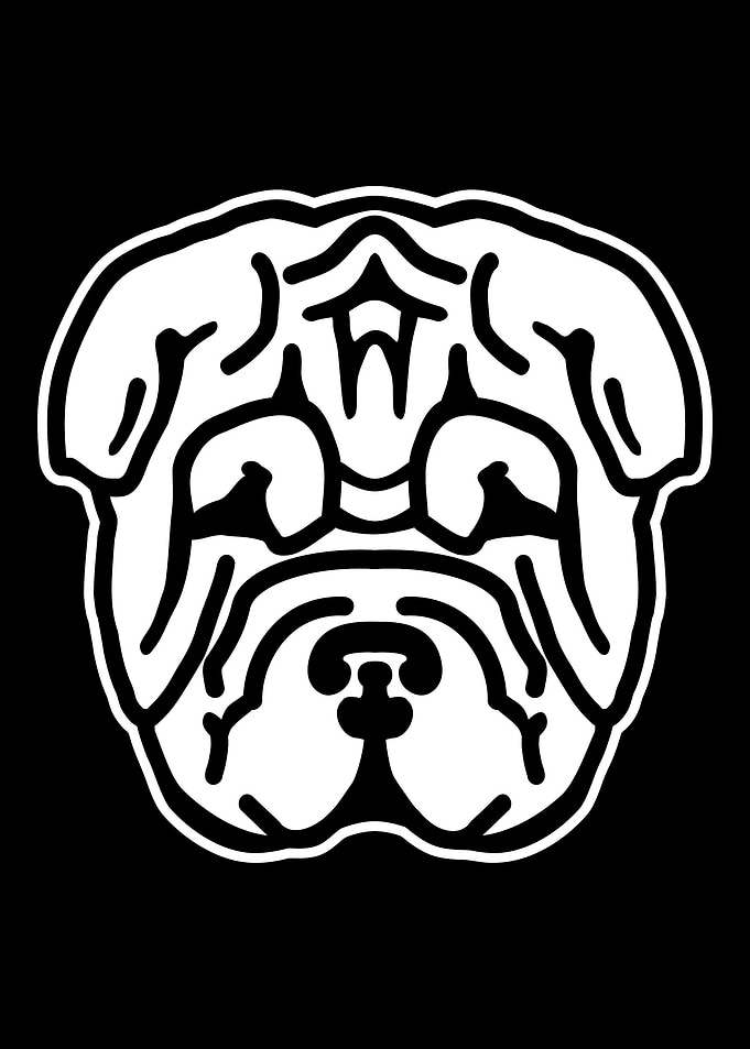 Shar Pei
