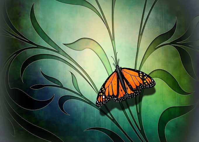 Butterfly Pause 1