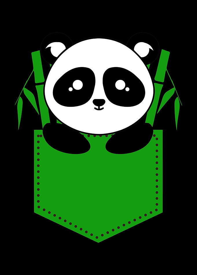 Panda Cute Pocket Bear