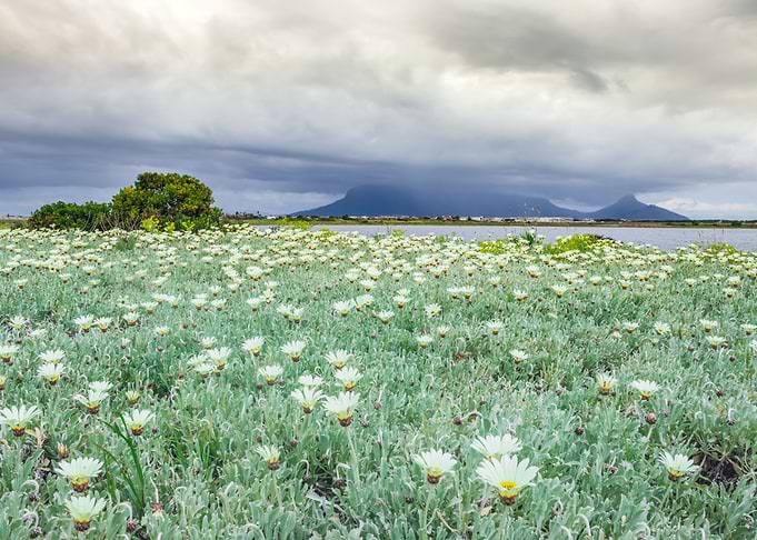 Overcast Table Mountain