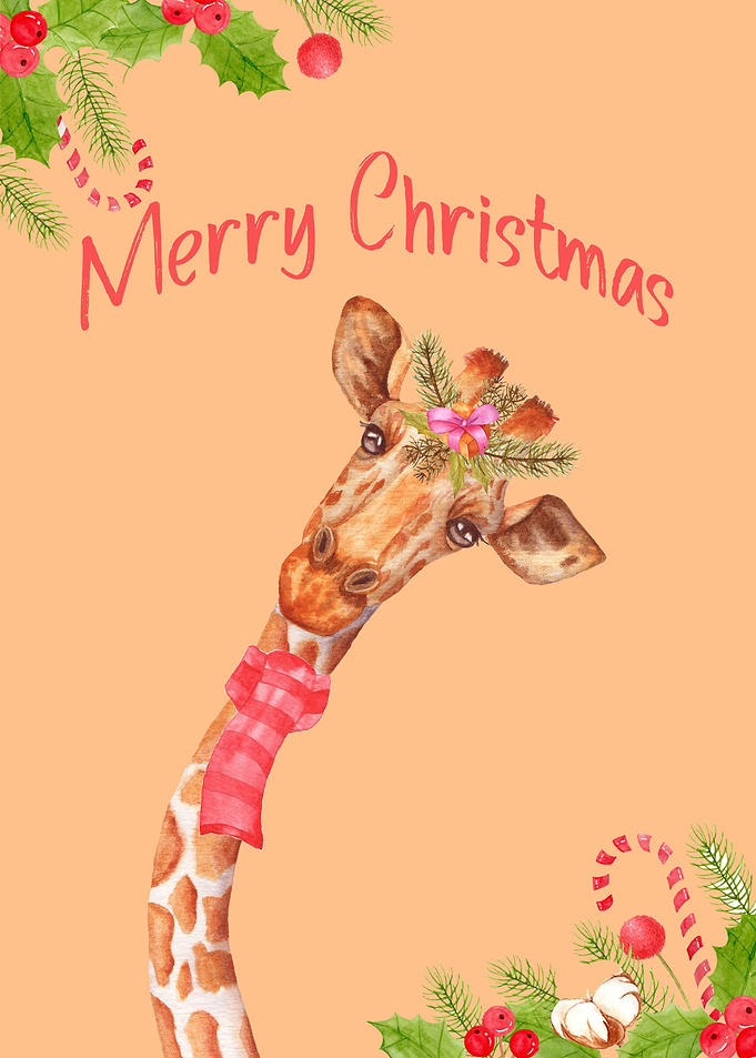 Giraffe Giraffes Africa