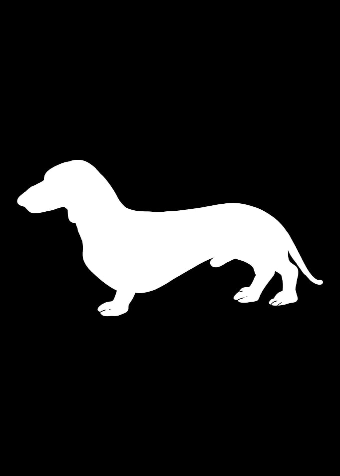 Dackel Dachshund Lustiges