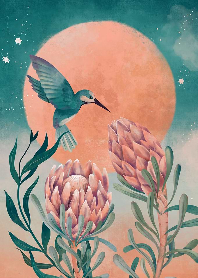 Moonlight