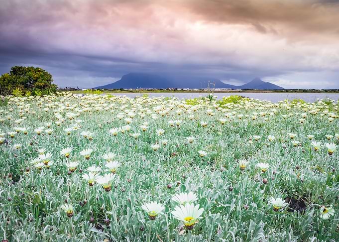 Overcast Table Mountain