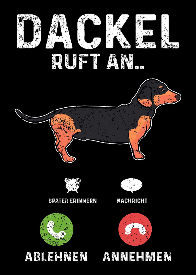 Dackel Dachshund Ruft An