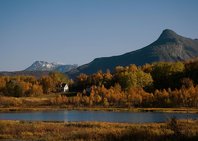 Lake view