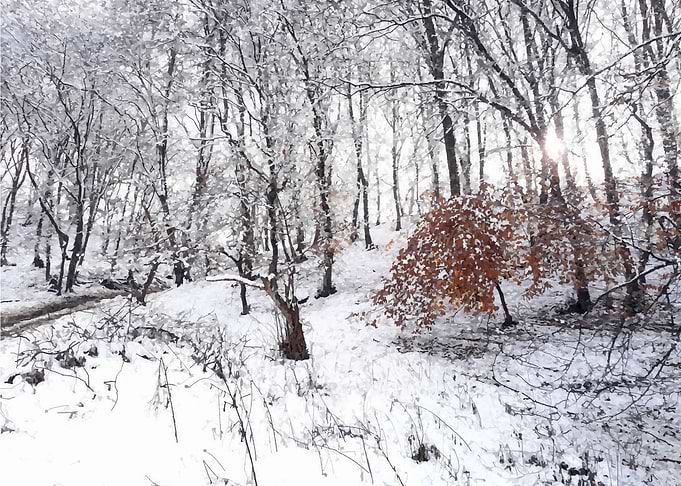 Winter magic