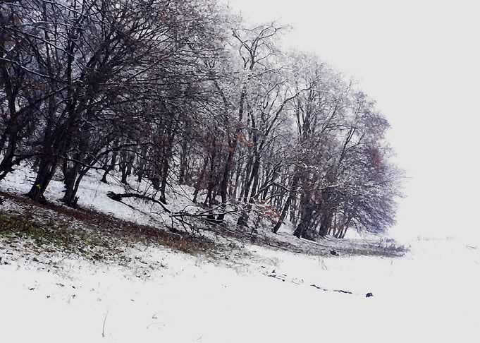 Winter postcard