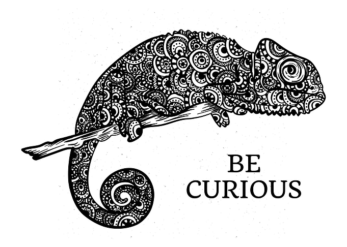 Mandala Chameleon