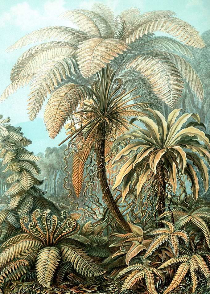 Jungle Palms Vintage