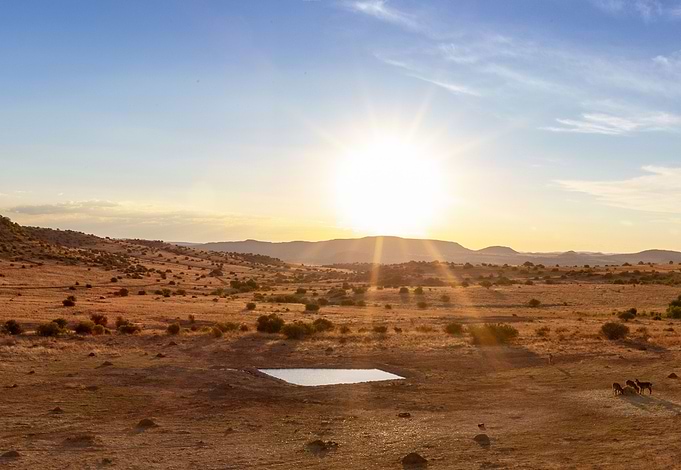 Freestate at Dusk
