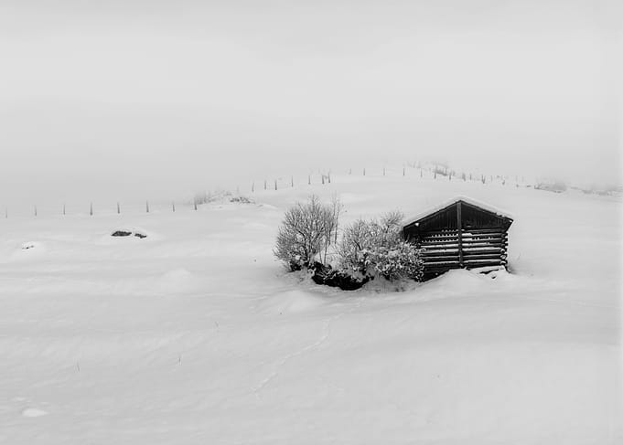 winter