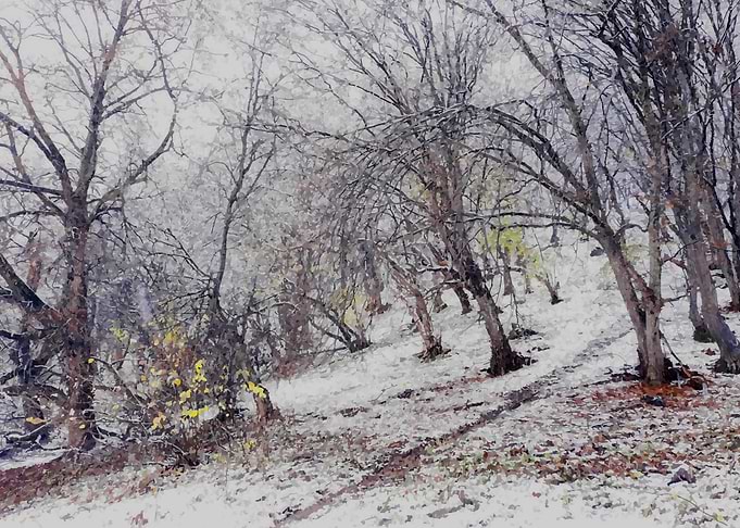 Magic winter