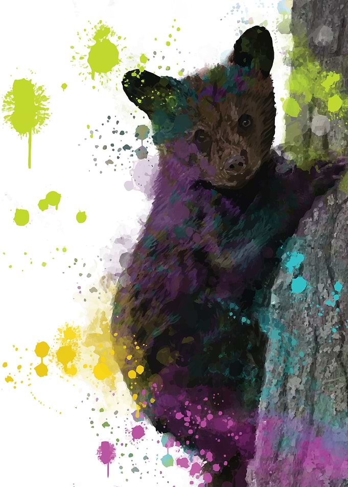 Color Teddy
