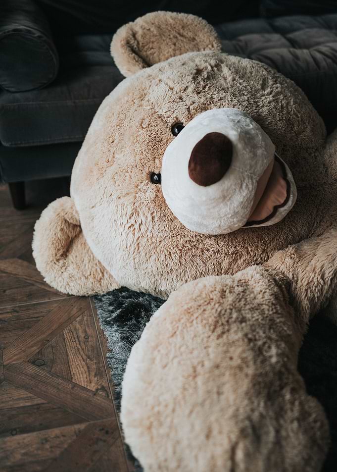 Big Bang Teddy