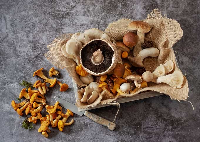 mushrooms