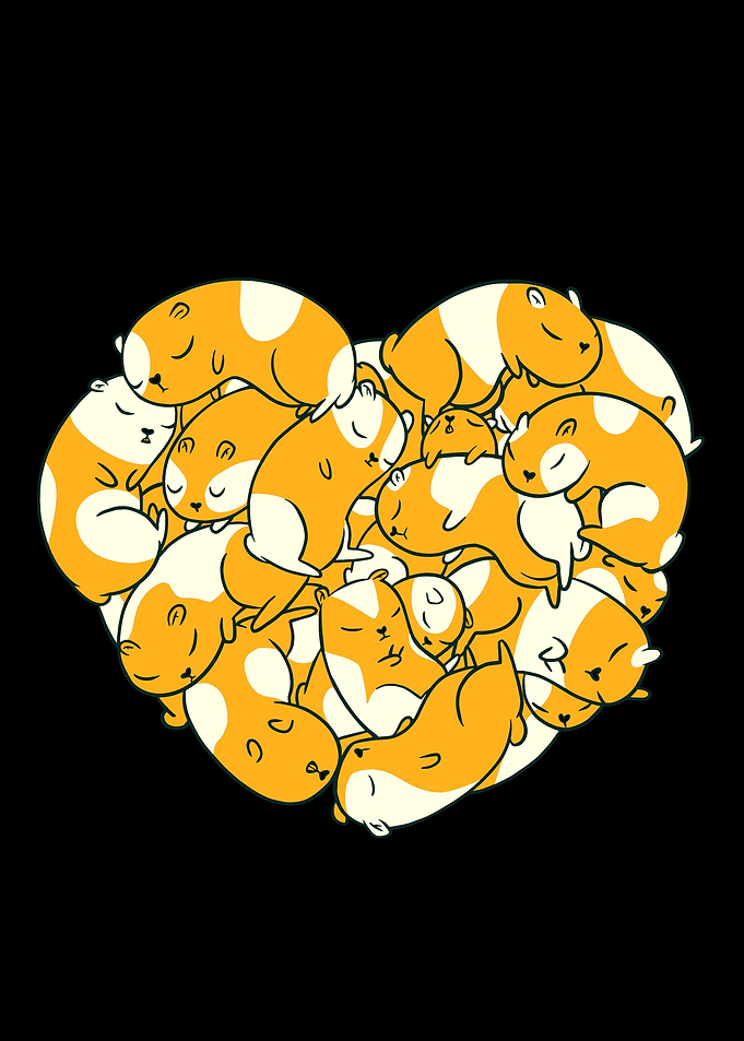 Guinea Pigs Heart Gift