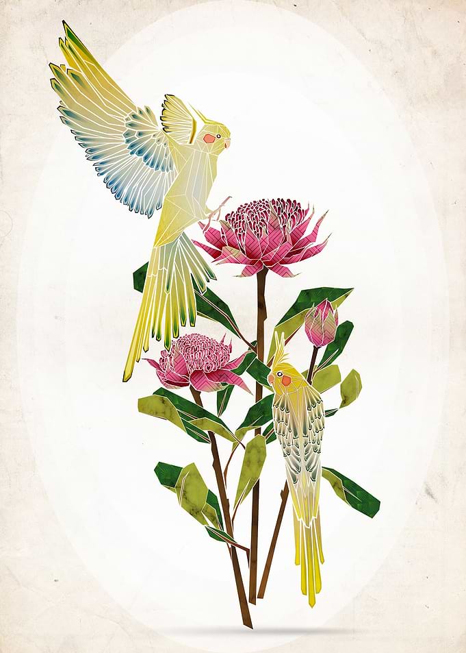 lovely bird