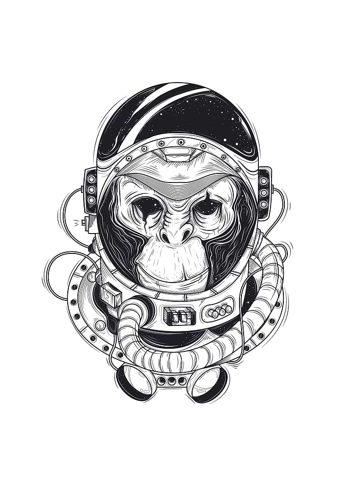 Astronaut and Space