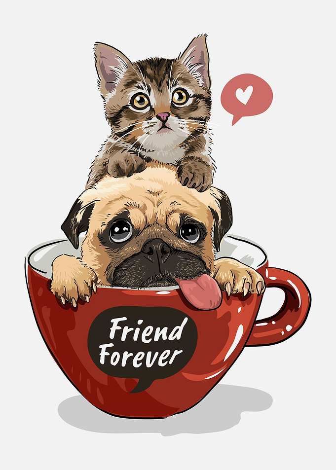 Pug and Cat FriendsForever